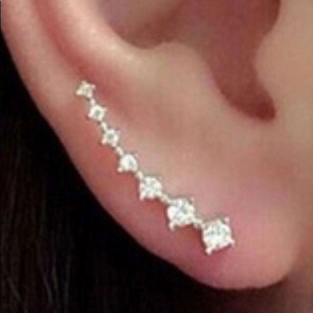 Silver Crystal Inverted Earrings - Picture 4 of 5